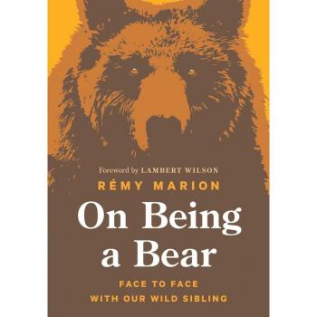 On Being a Bear: Face to Face with Our Wild Sibling
