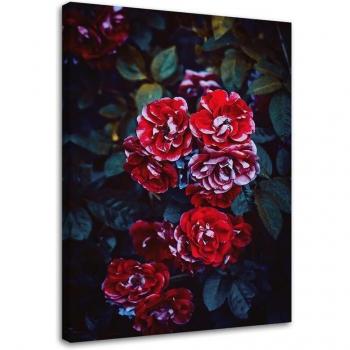 Stampa canvas Feeby, fiori rossi su sfondo di foglie 40x60 rosso