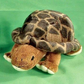 Tortoise Plush Soft Toy 22cm