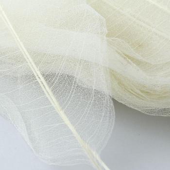 Magnolia Hojas Naturales para Scrapbooking, 50 Piezas