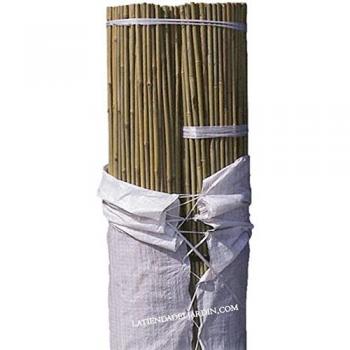 Tutores de bambú natural 105 cm, 8-10 mm