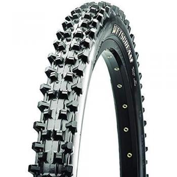 Maxxis Wetscream (2.50/R)