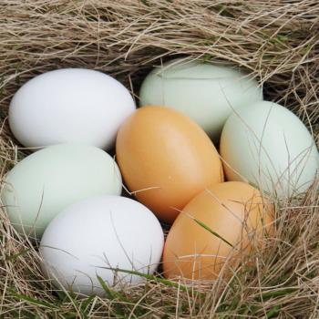 Huevos de Pascua de Madera 2,3 Pulgadas