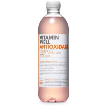 Pack 10 Bebidas Antioxidantes de Pêssego 500 ml