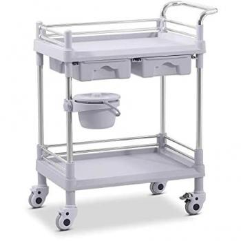 Laborwagen mit 2 Ablagen (je 53 x 38 x 14 cm), 2 Schubladen, max. Tragkraft 40 kg