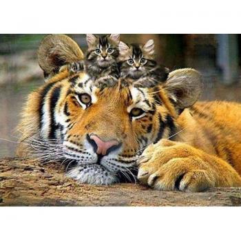 5D Rhinestone Embroidery Tiger Design 20x30cm