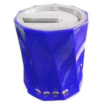 Cassa Audio Bluetooth WS-Y89B
