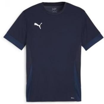 Puma TeamGOAL Competitieshirt Heren