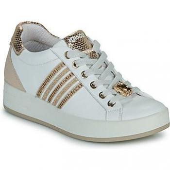 IGI & CO 5657211 Sneaker aus Nappaleder