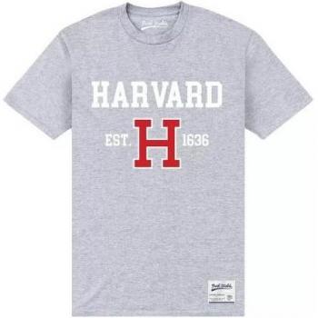 Est 1636 T-Shirt L Grey