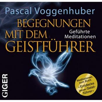 Pascal Voggenhuber Begegnungen Mit Dem Geistführer