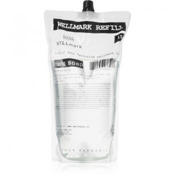 Sapone Liquido Nero Ambra 1 Litro Ricarica Wellmark