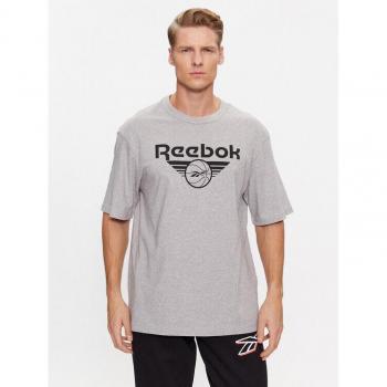 Reebok Basketball Tee IL4423 in Grau