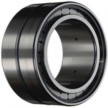 Cilindro de Rodamiento Picard 67-140 DI 90
