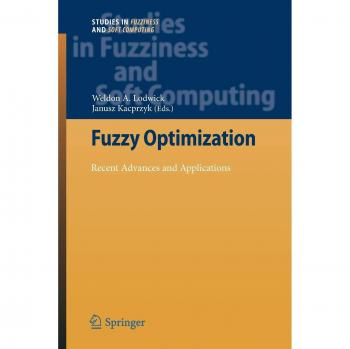 Fuzzy Optimization