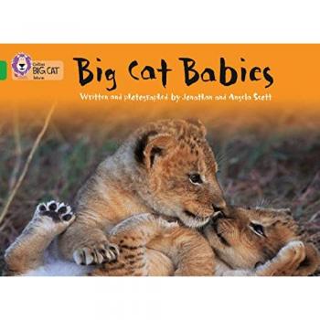 Big Cat Babies Book