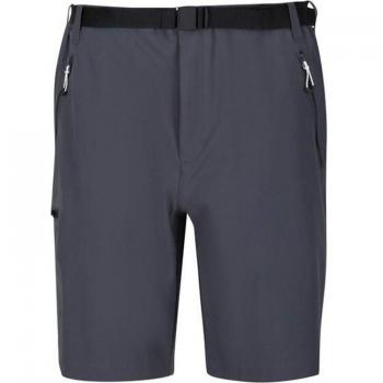 Regatta Pantalones Cortos de Montaña Hombre Gris