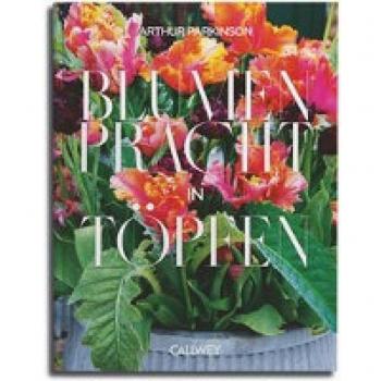 Blumenpracht in Töpfen