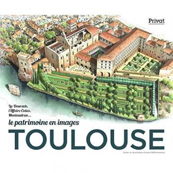 Toulouse le patrimoine en images: Le patrimoine en images