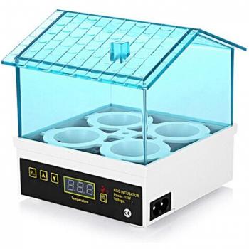 XD-4 Small Egg Incubator with US Plug