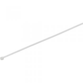 Fascetta per cavi 580 mm 12.4 mm Naturale resistente 100 pz