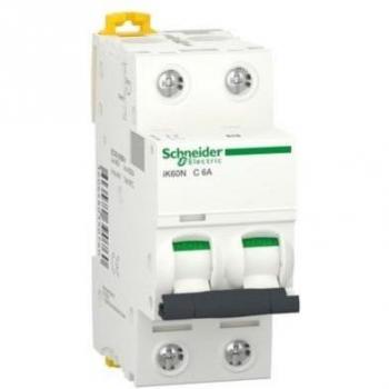 Dispositivo di Protezione 6A 2P Schneider A9K17206 Casa