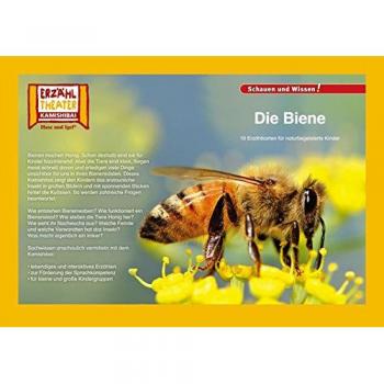 Hase und Igel Die Biene / Kamishibai Bildkarten