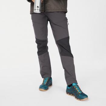 Regatta Trekkinghose Questra V Herren, Grau, R-52