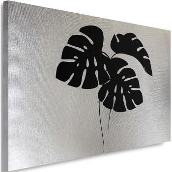 Fronde Argentee Monstera 60x40