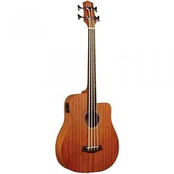 Gold Tone M-Bass25FL Mahogany Model