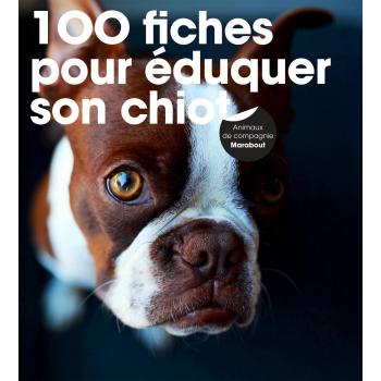 100 fiches pour éduquer son chiot