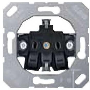 Prise Électrique Schuko 2P + TT 16A Jung 1521