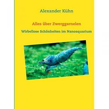 Alles über Zwerggarnelen: Wirbellose Schönheiten im Nanoaquarium