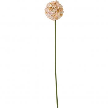 Premium White & Apricot Allium Decorative Stem