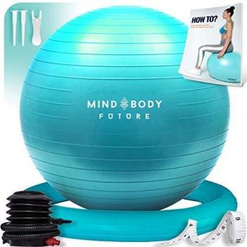 Stability Ball Chair