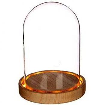GRAINE CRÉATIVE Campana de cristal iluminada 16,5 cm × Ø 12,5 cm