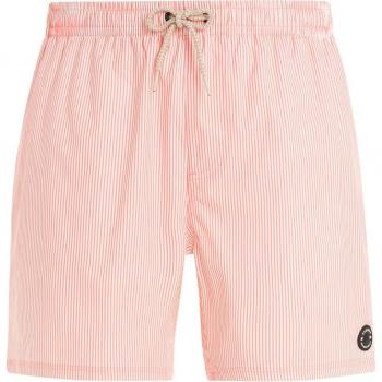 Protest Herren Badeshorts PRTMANAMA beachshort pink M