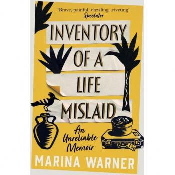 Inventory of a Life Mislaid