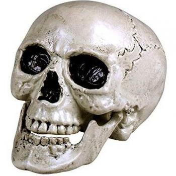 BOLAND BV Halloween Deko Totenkopf mit beweglichem Kiefer 20x15cm