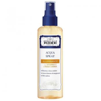 Brighten Rose Vitamin C Hydrating Mist
