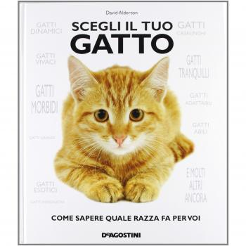 Scegli il tuo gatto. Come sapere quale razza fa per voi