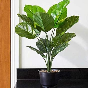 Smart Garden Indoor Faux Leopard Lily House Plant