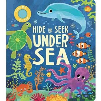 Hide and Seek Under the Sea