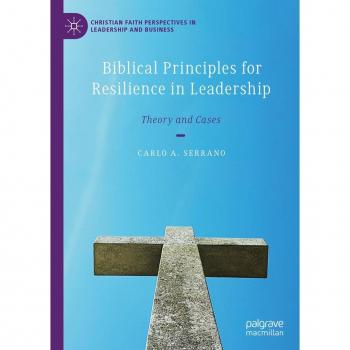 Vitalsource Technologies, Inc. Biblical Principles For Resilience In Leadership