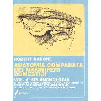 Trattato di anatomia comparata dei mammiferi domestici. Splancnologia. Apparecchio uro-genitale. Feto e i suoi annessi. Peritoneo e topografia addominale (Vol. 4)