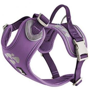 Weekend Warrior Currant Pack‑Harness – 100