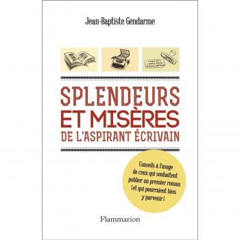 Splendeurs et misères de l'aspirant écrivain: Conseils à l'usage de ceux qui souhaitent publier un premier roman