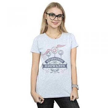 Harry Potter Ladies Quidditch At Hogwarts Boyfriend Fit Cotton T-Shirt L Grey