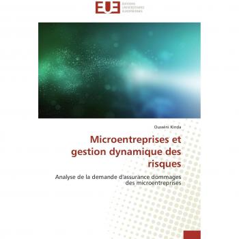 Microentreprises et gestion dynamique des risques