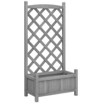Macetero de Planta Trepadora Gris